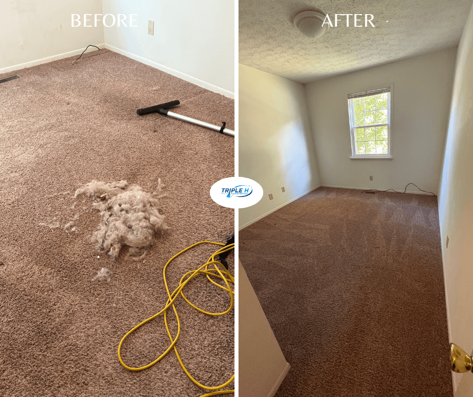 Cleaned carpet, tidy room transformation.